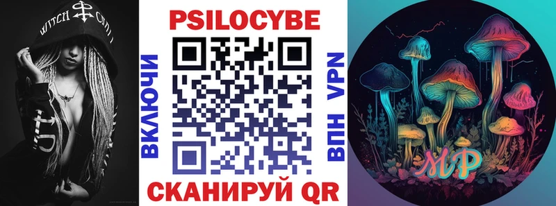 Купить закладки  Новотроицк  Галлюциногенные грибы Psilocybe 